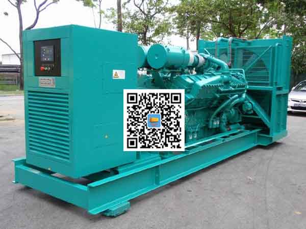 新兴租赁发电机-康明斯发电机性价比还是比较高的